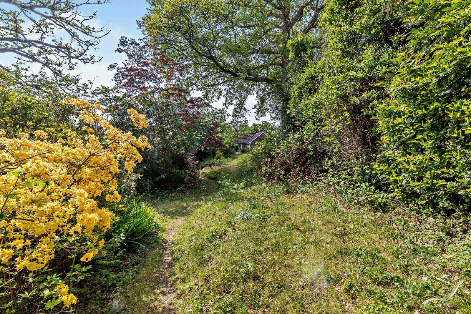 Garden/Land