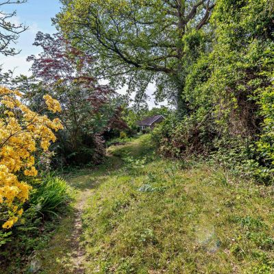 Garden/Land