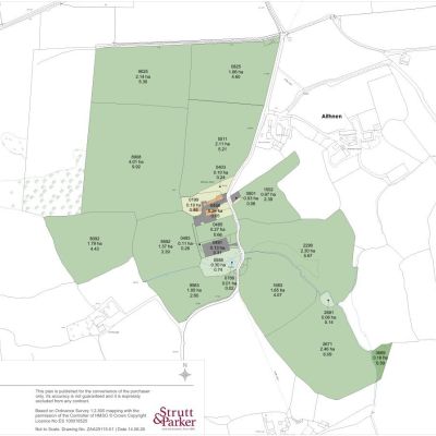 Picture No. 19