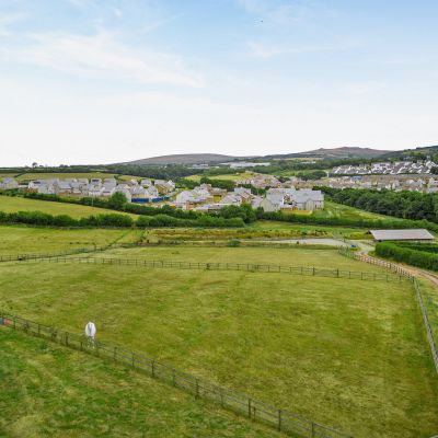 Grounds