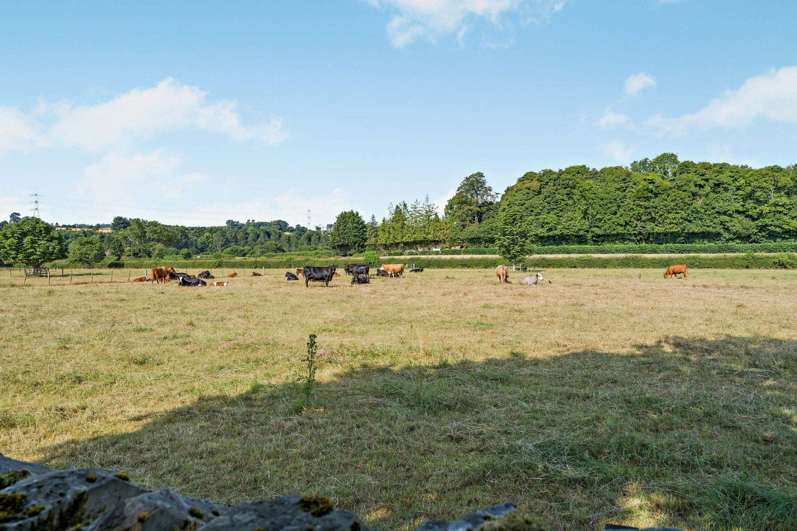 Paddocks Included