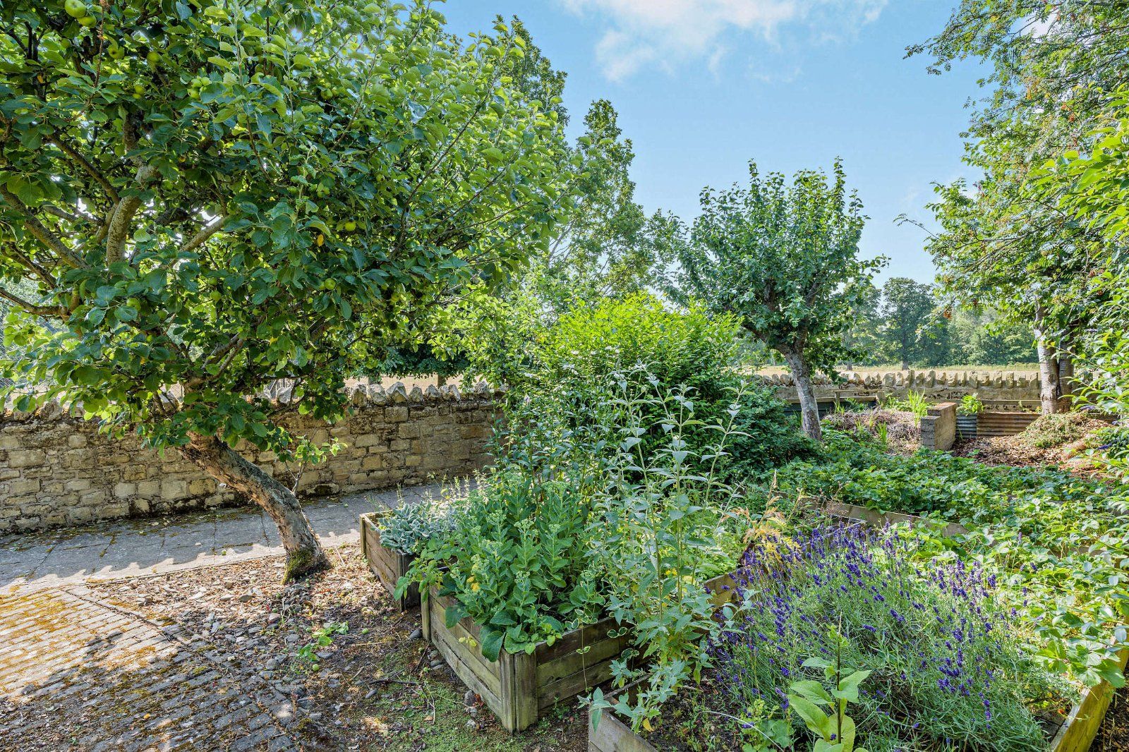 Vegetable Garden