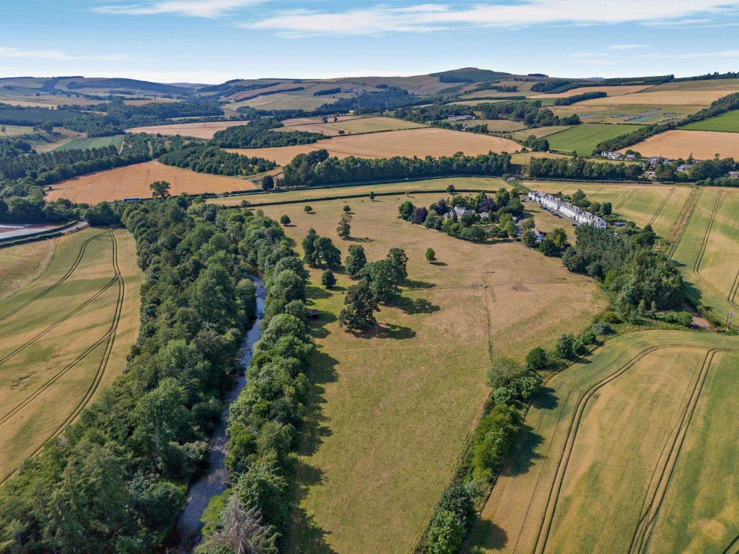 Extensive Paddocks