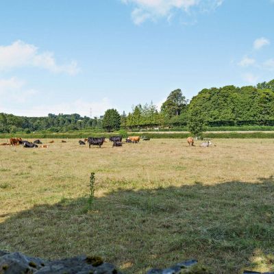 Paddocks Included