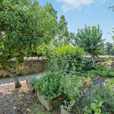 Vegetable Garden