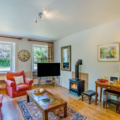 Cosy Wood Burner