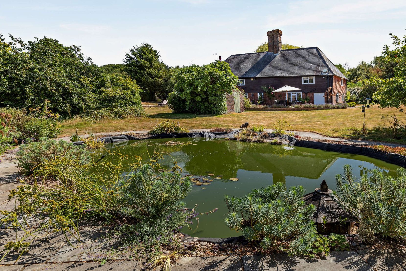 Pond