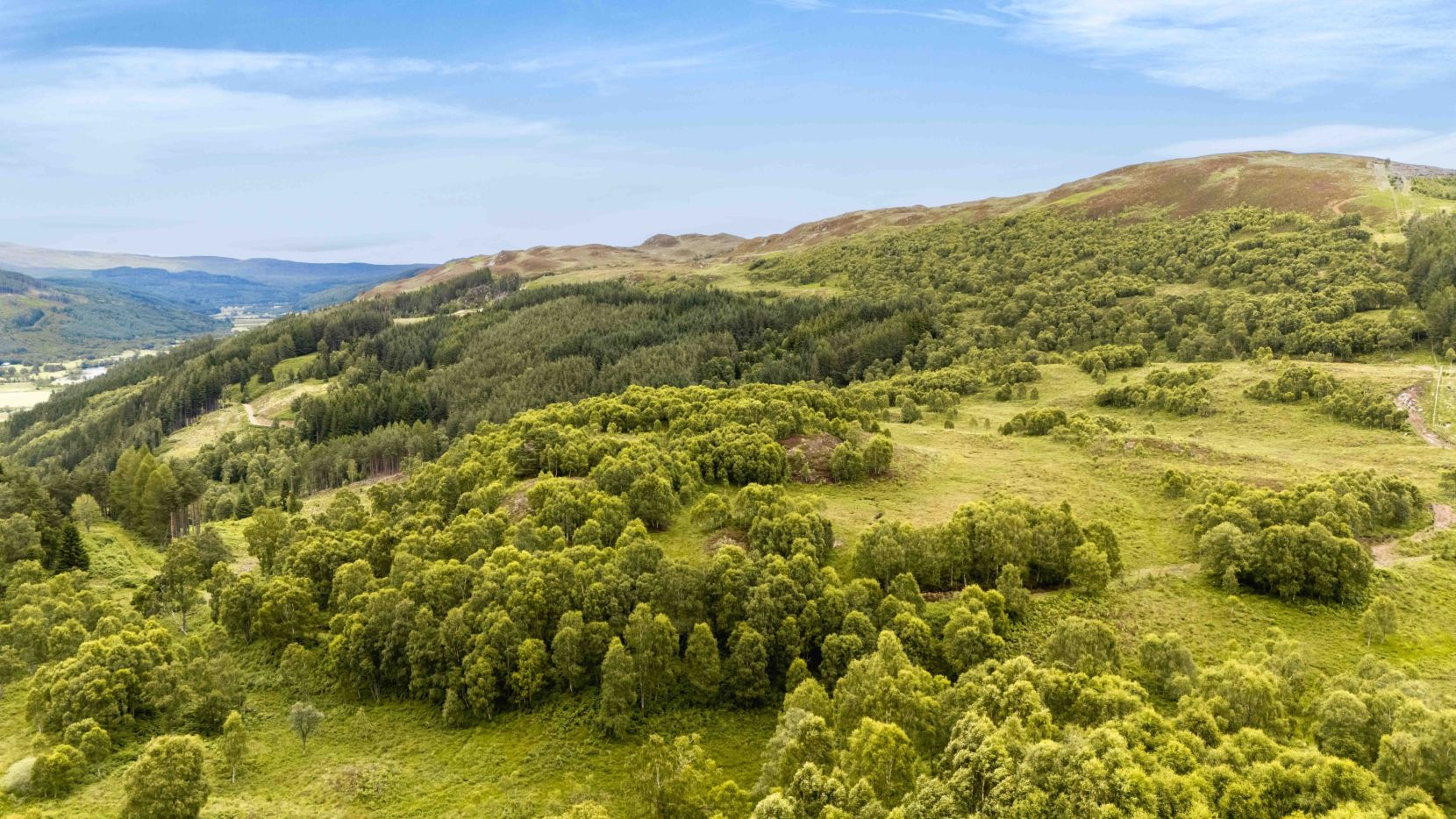 Mauld Estate