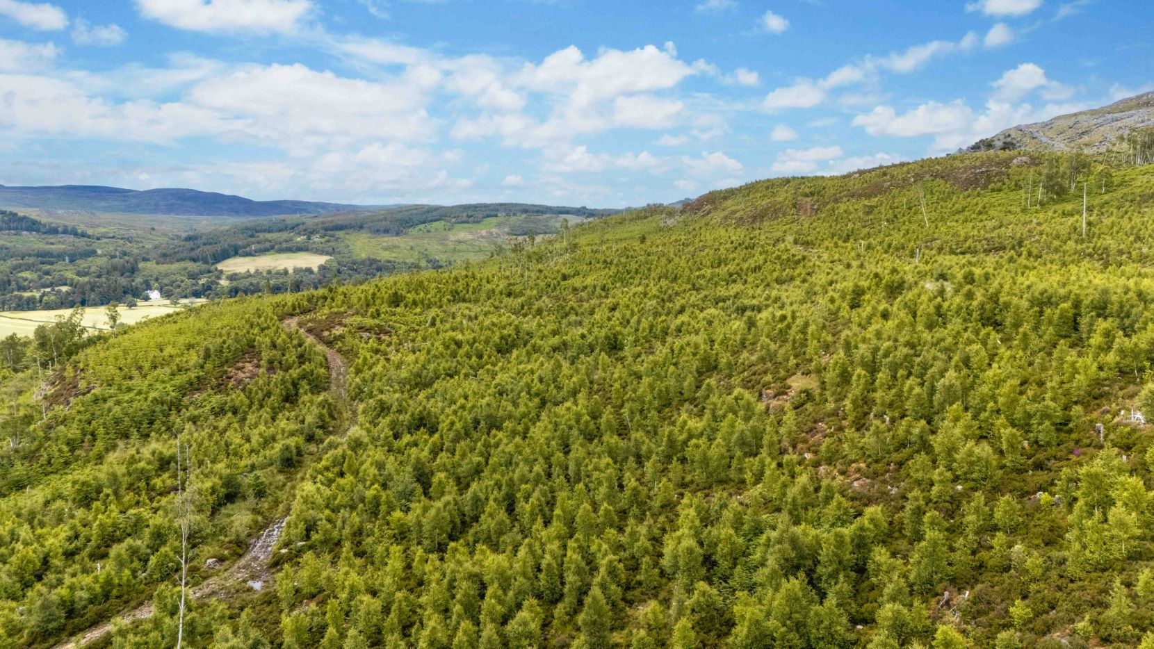 Mauld Estate