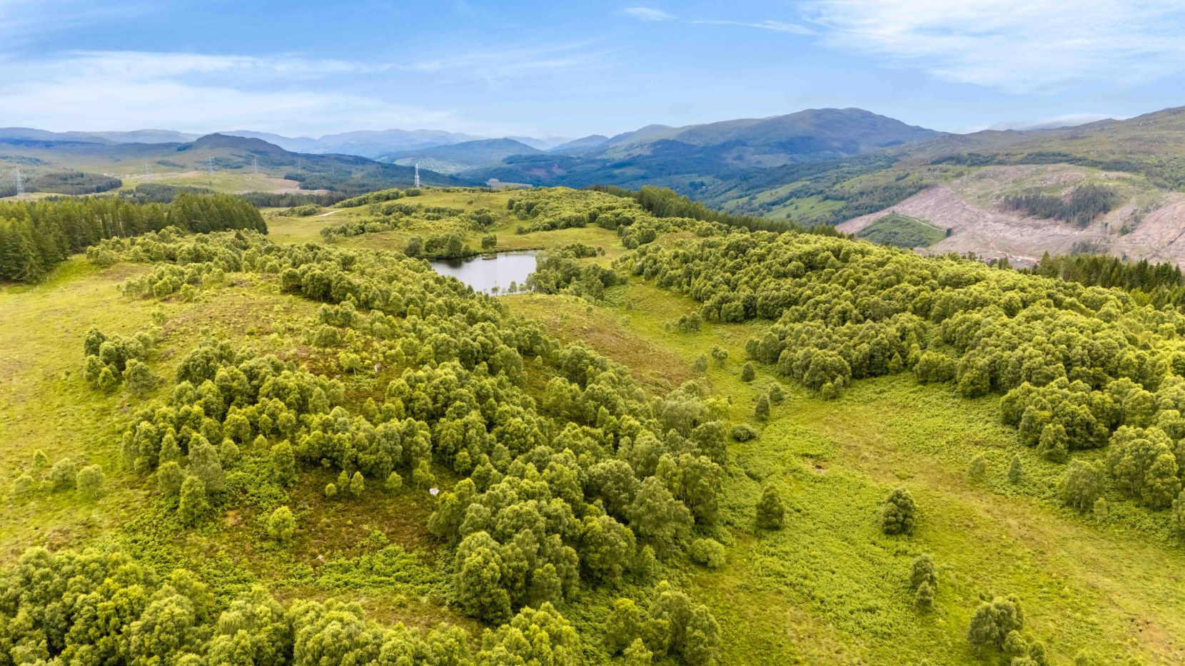 Mauld Estate