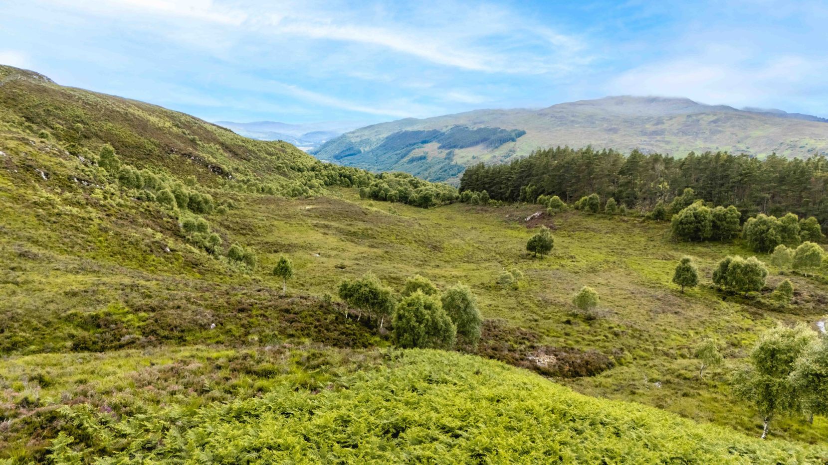 Mauld Estate