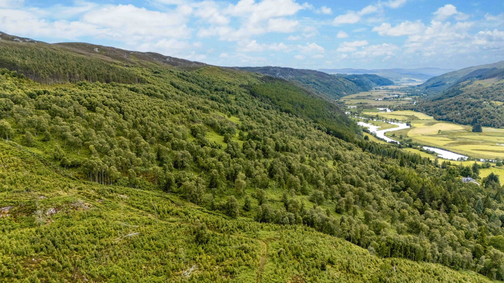 Mauld Estate