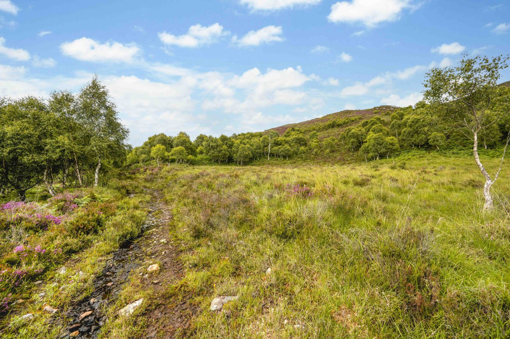 Mauld Estate