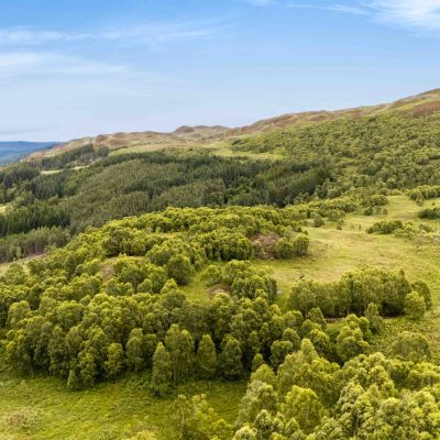 Mauld Estate