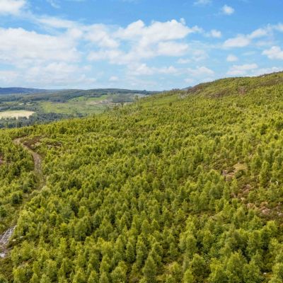 Mauld Estate