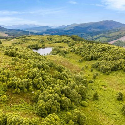 Mauld Estate