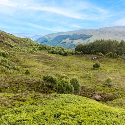 Mauld Estate
