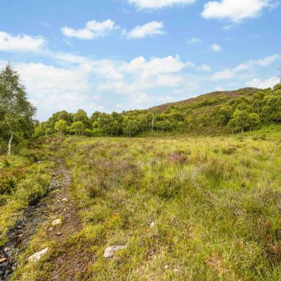 Mauld Estate