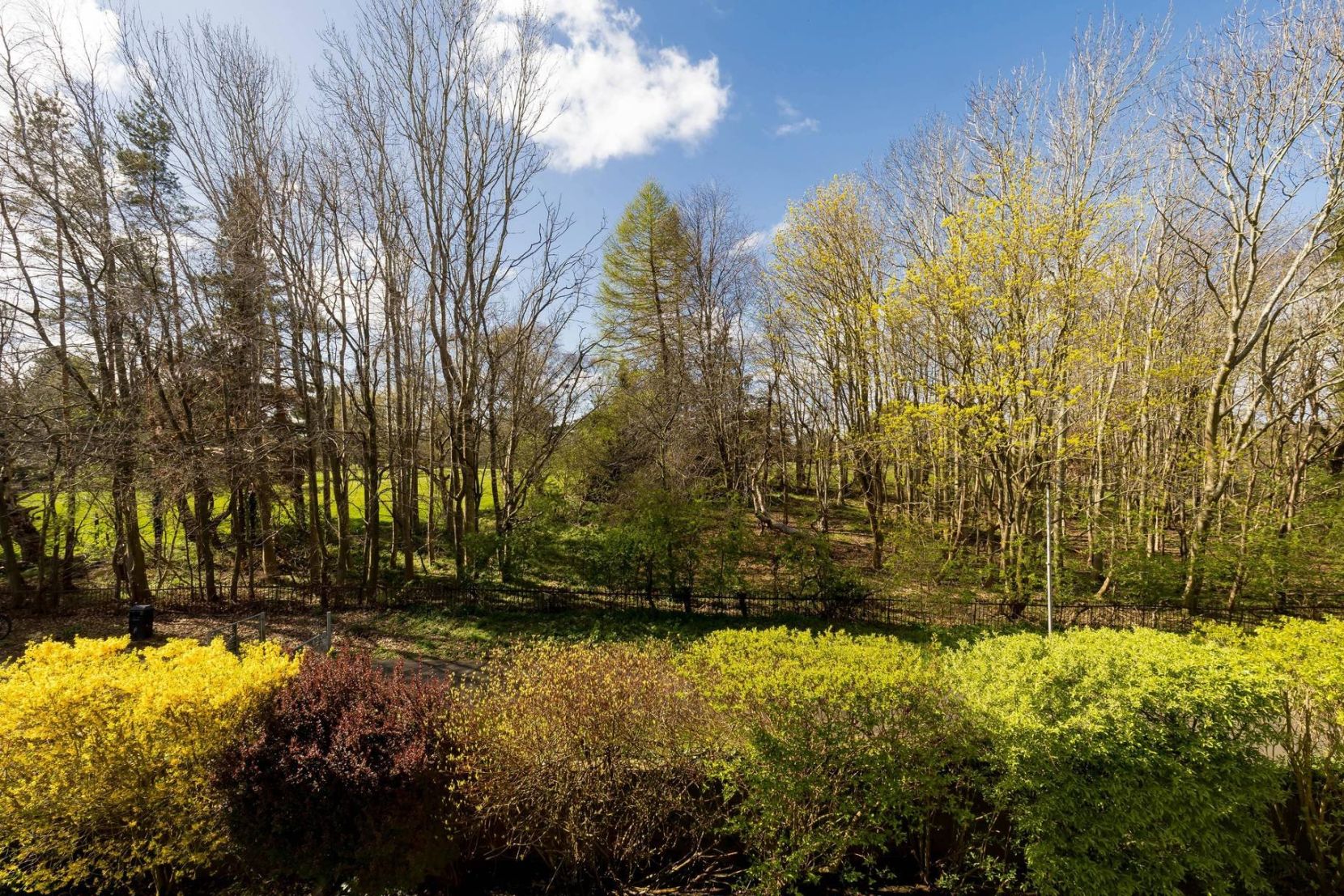 Green Surroundings