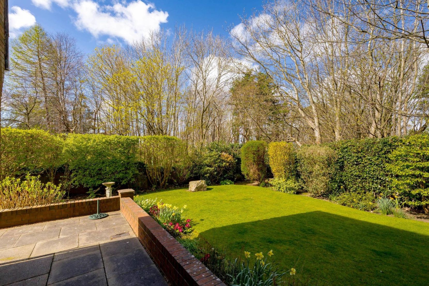 Surrounding Garden