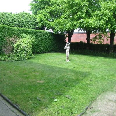 Communal Garden