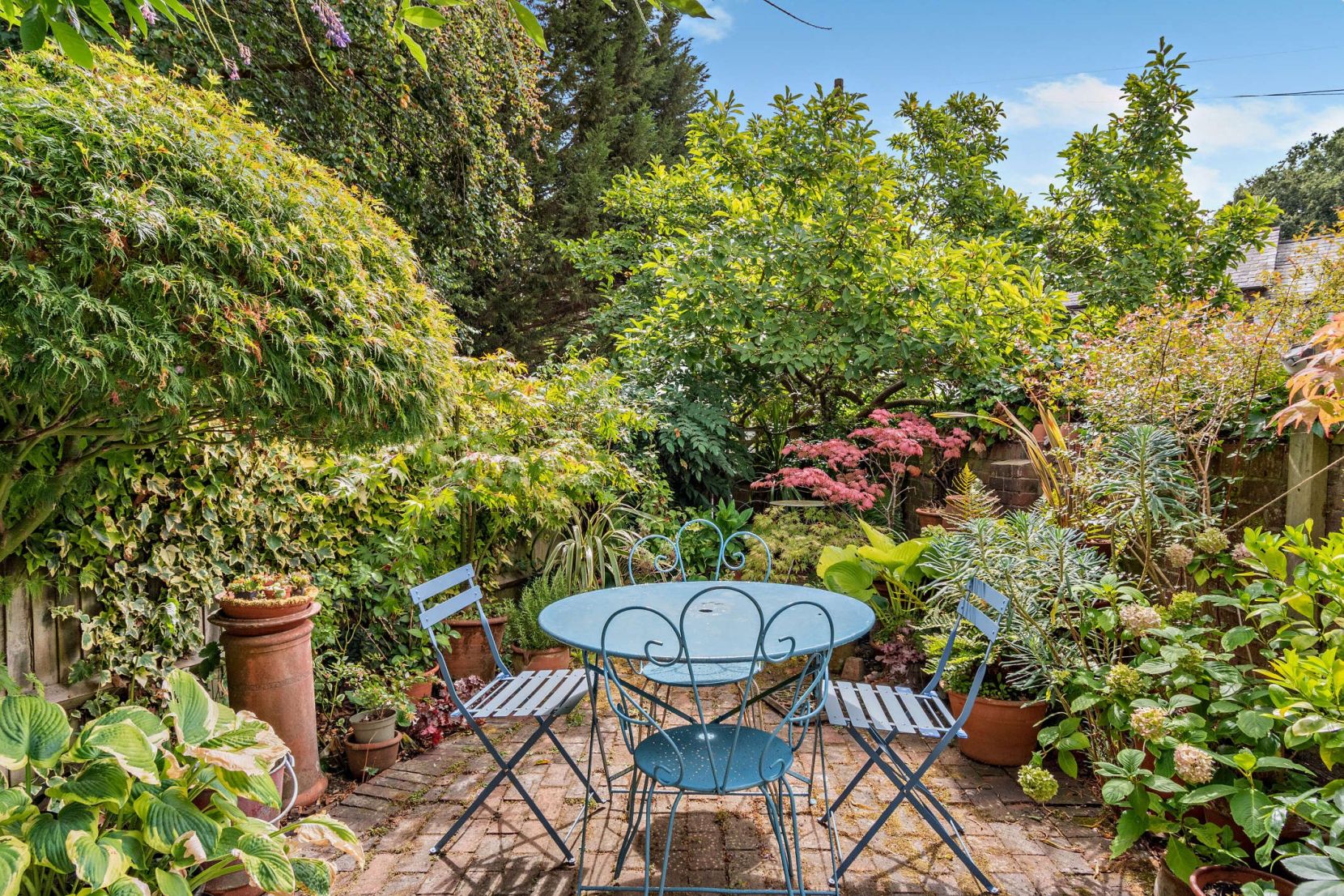 Garden
