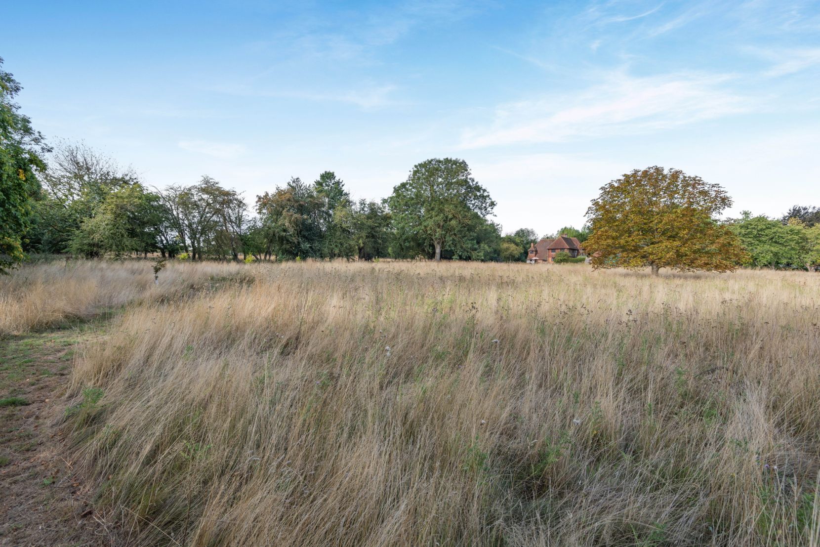 Grounds