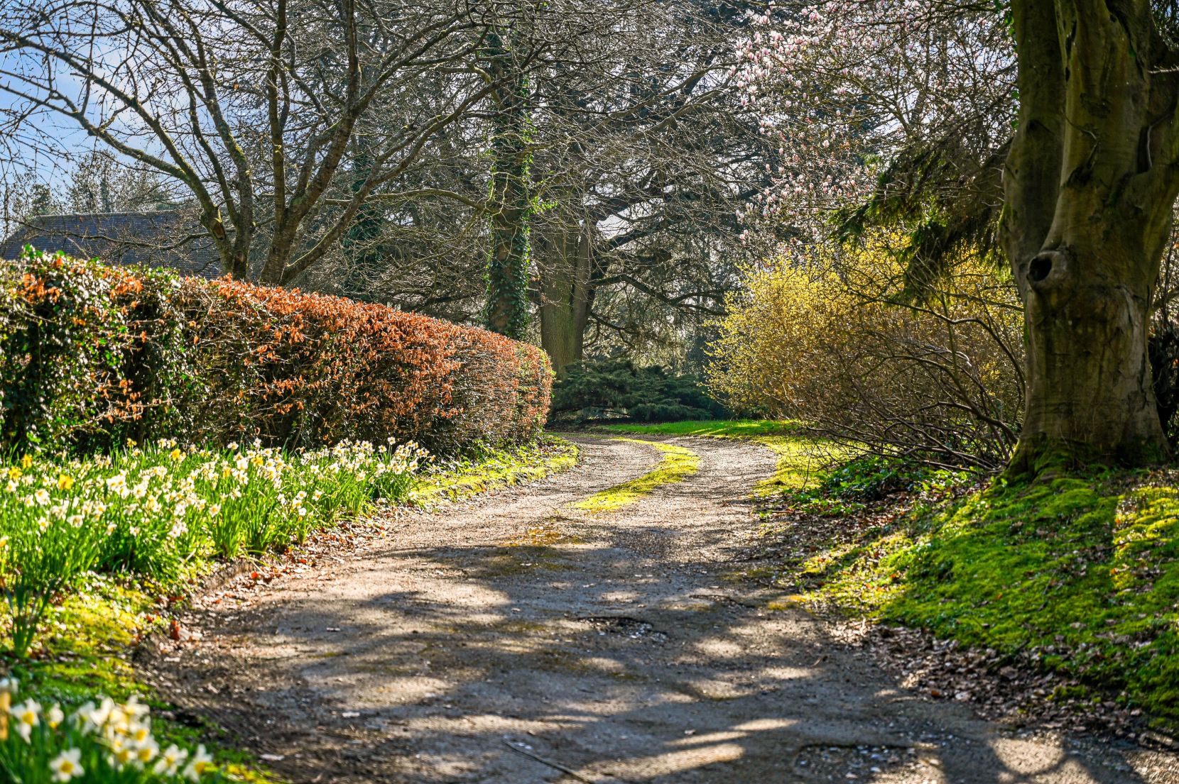 Grounds