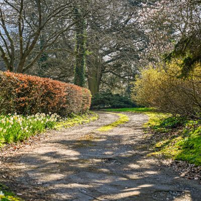 Grounds