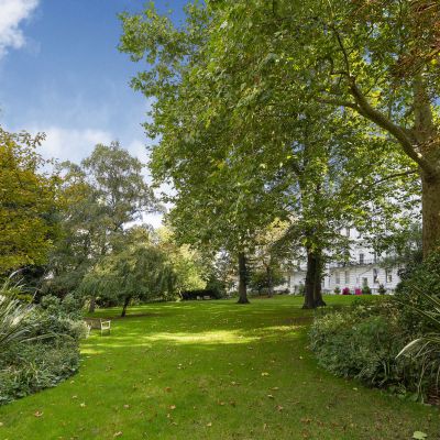 Communal Garden