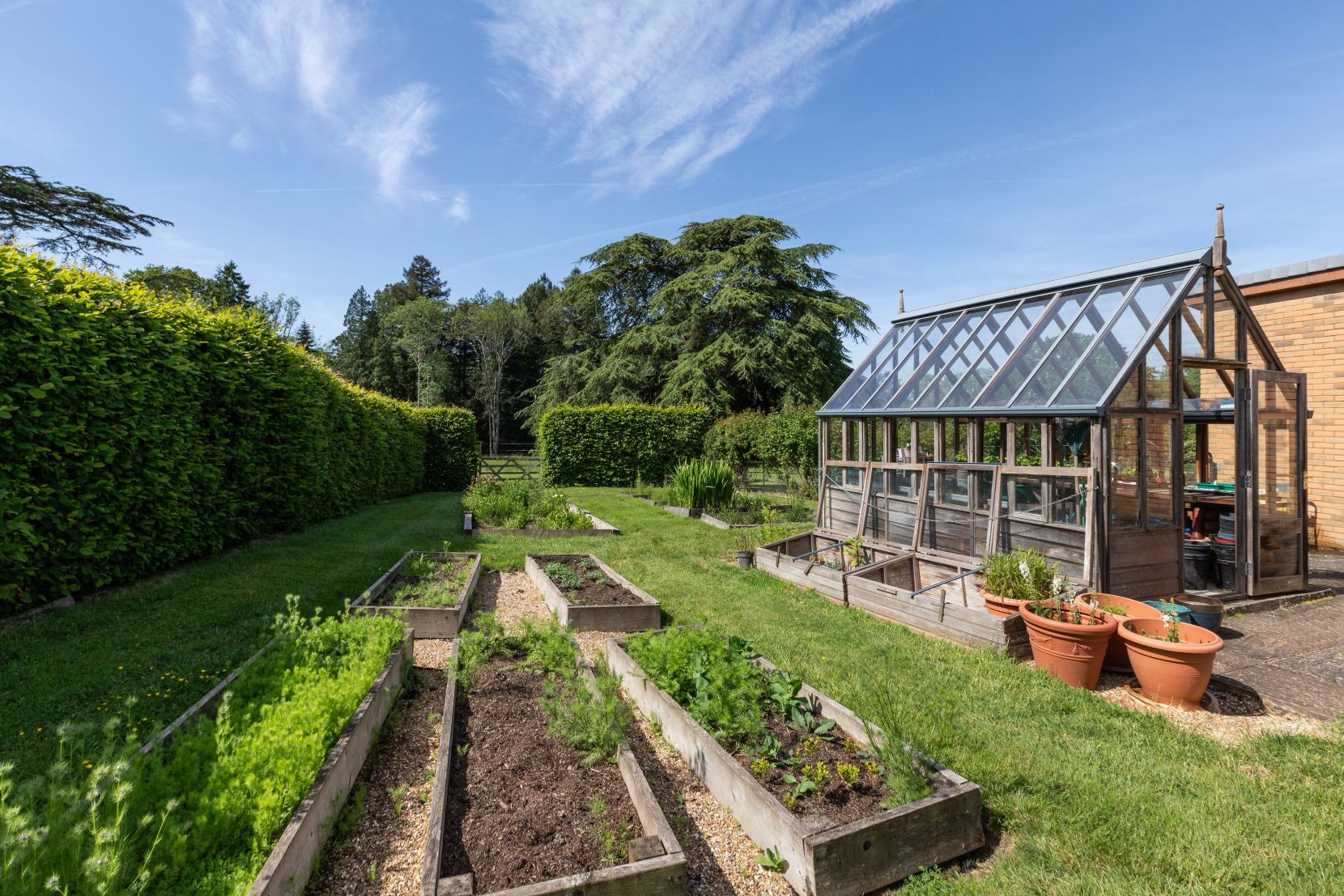 Kitchen Garden