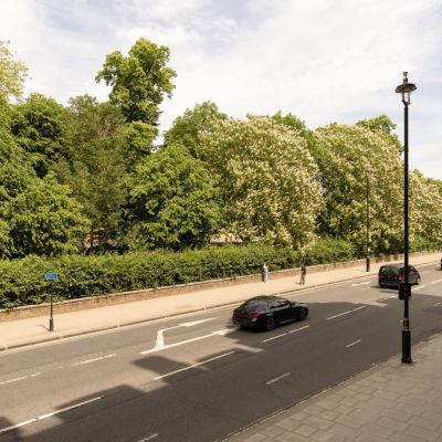 Park View