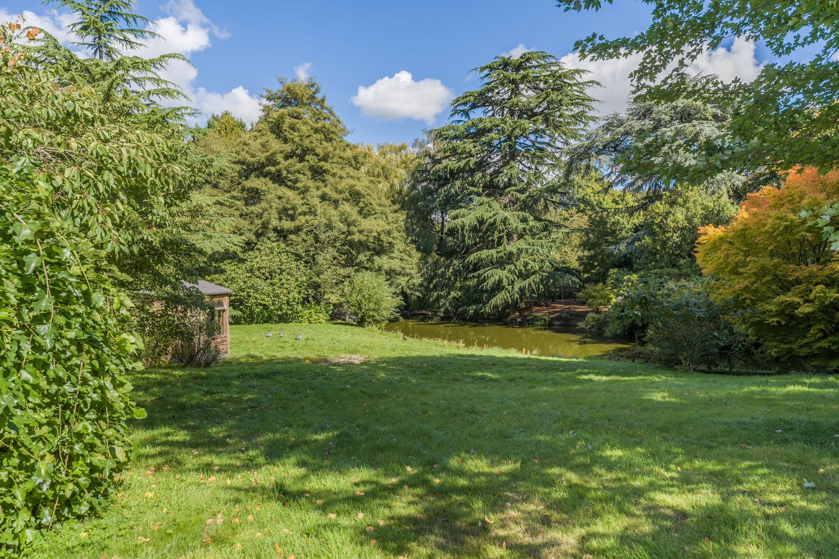 Grounds