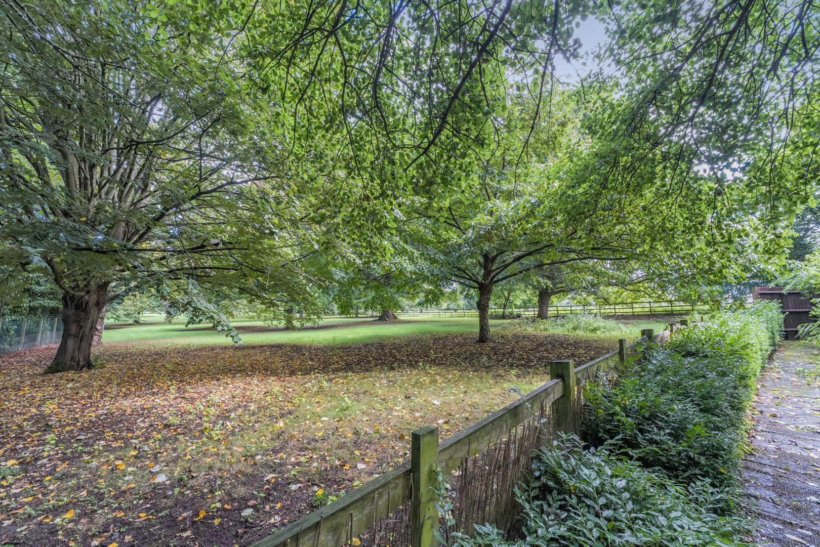 Grounds