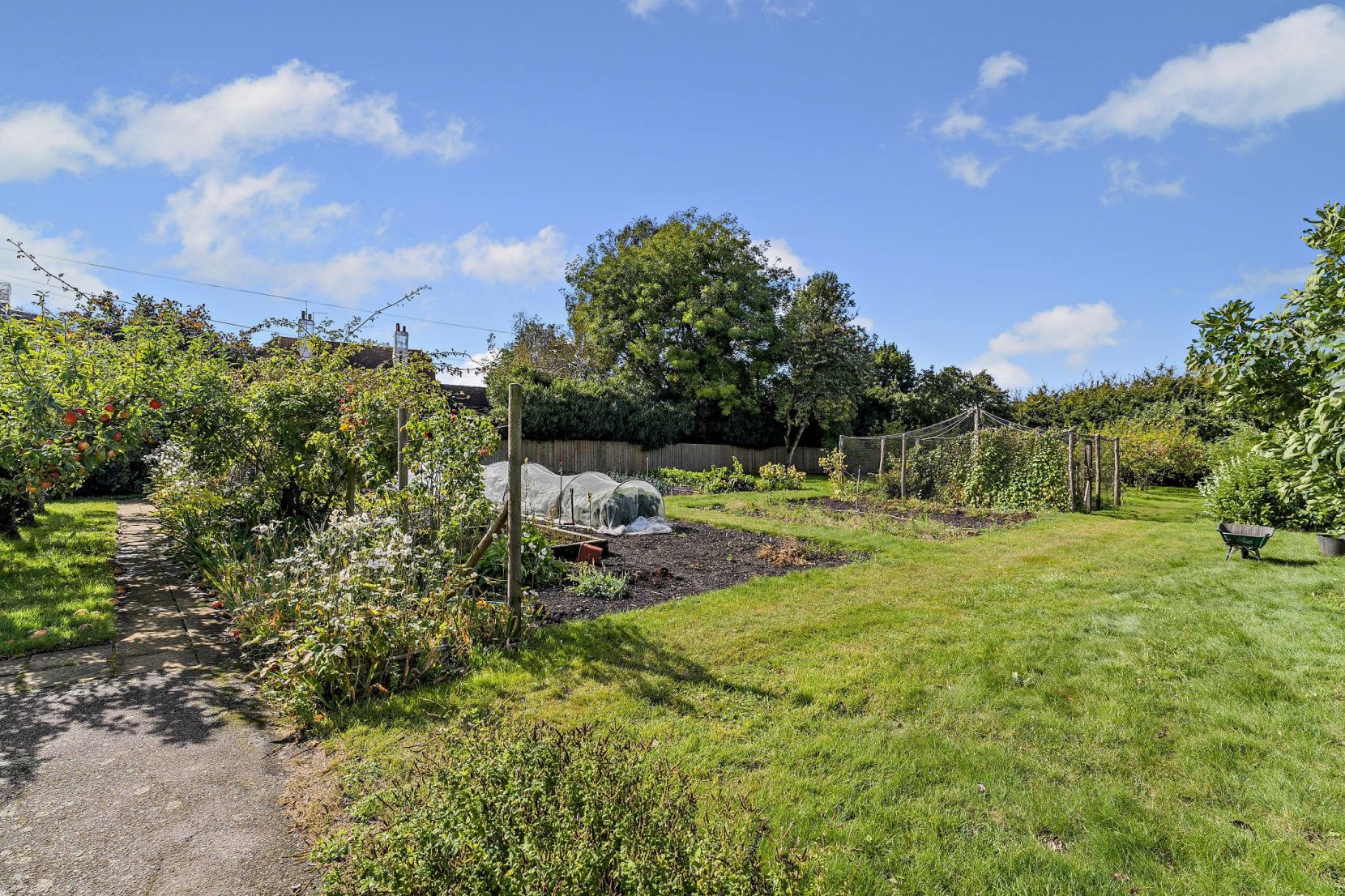 Kitchen Garden