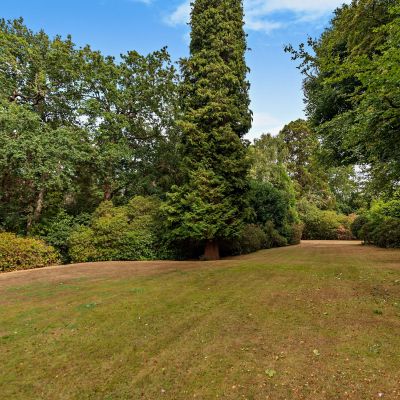 Communal Gardens