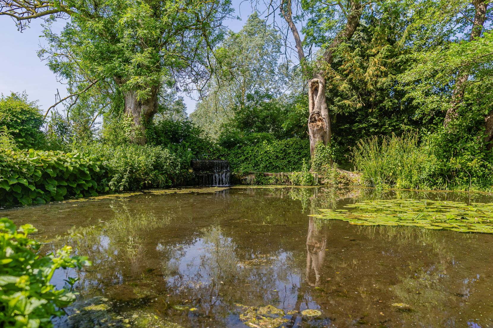 Pond