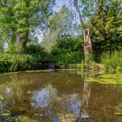 Pond