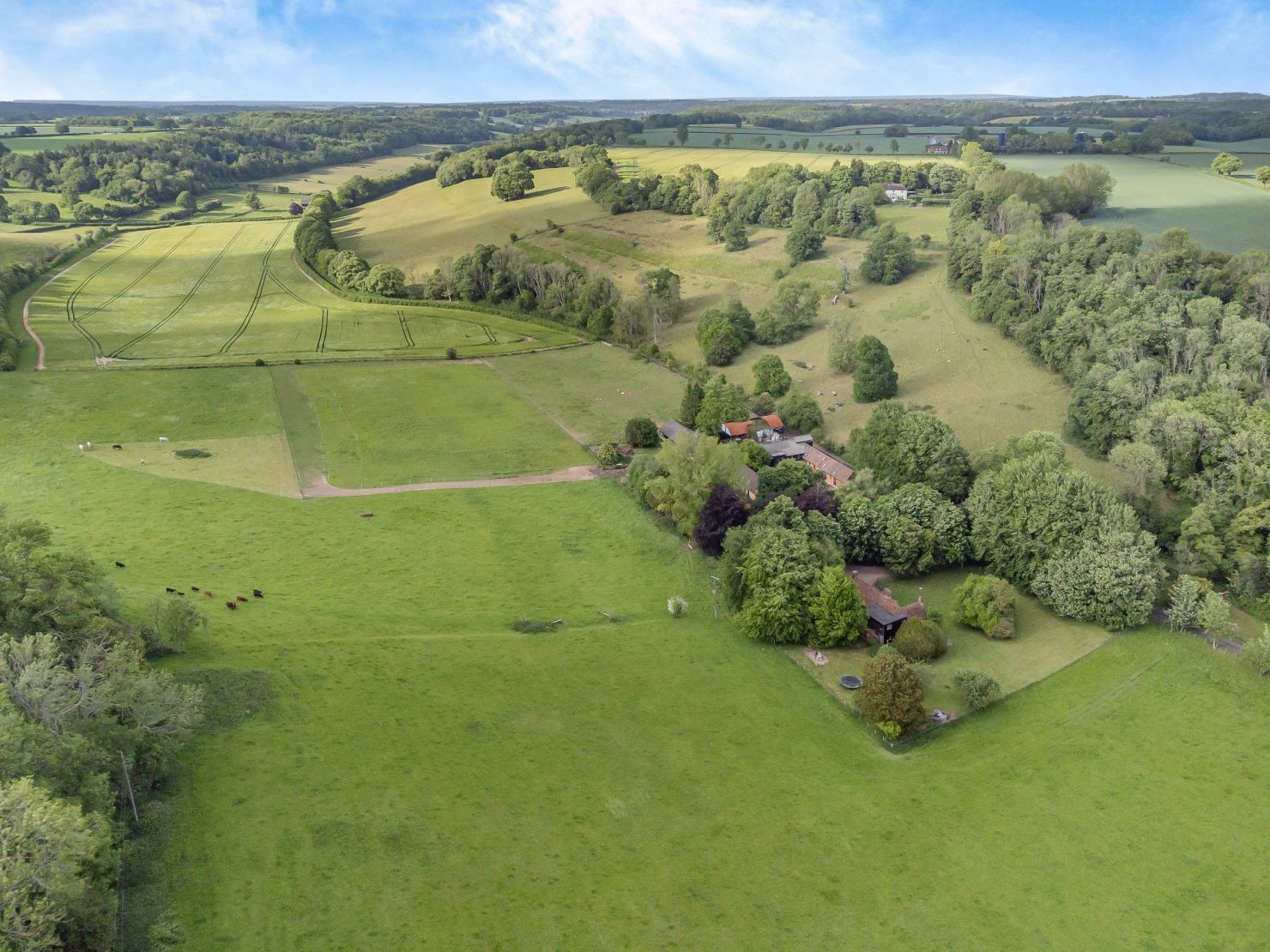 Drone View