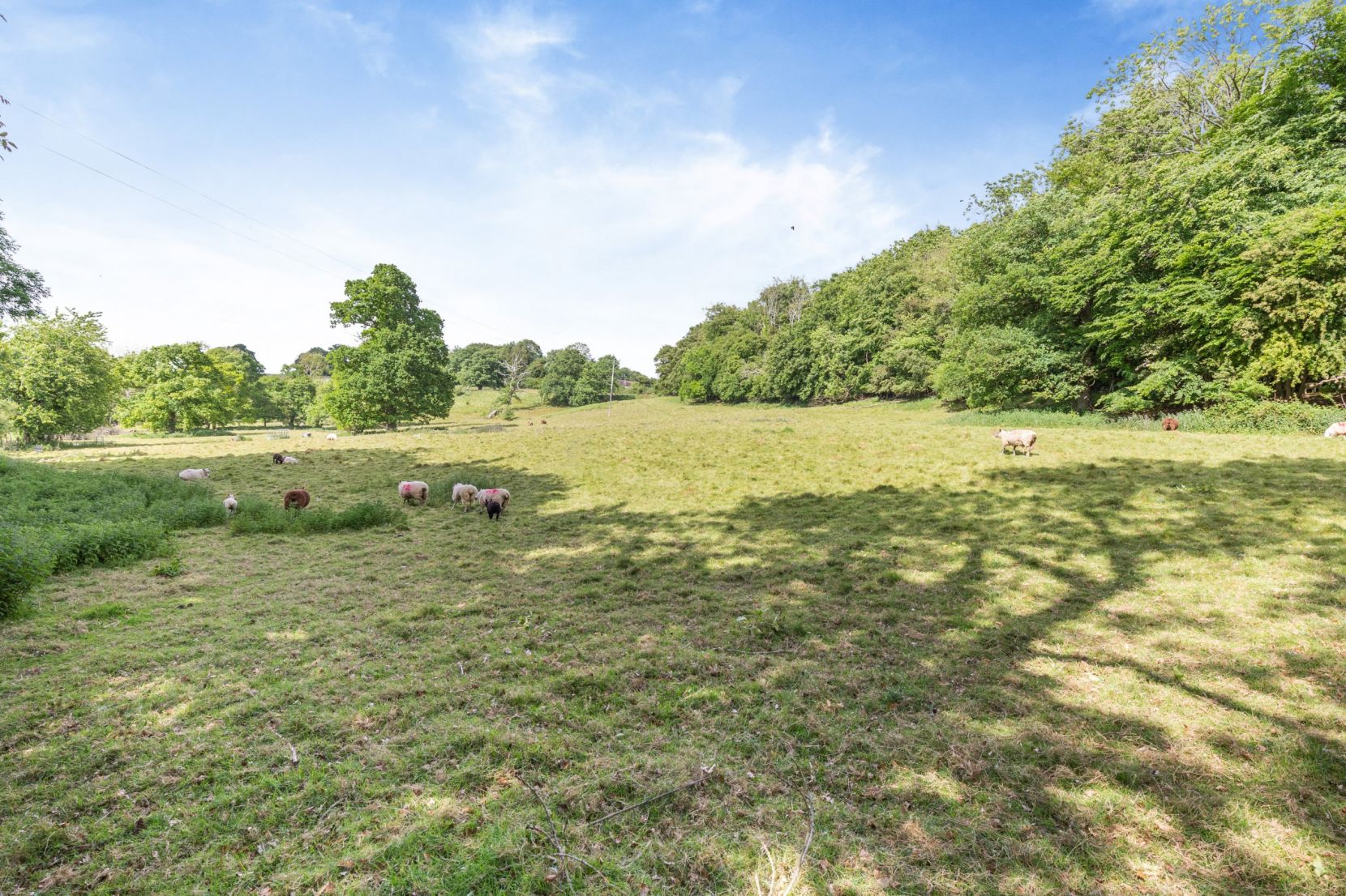 Lot B