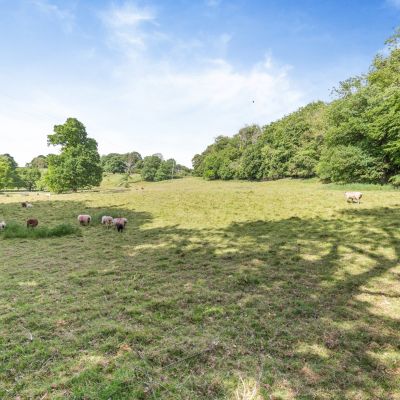 Lot B
