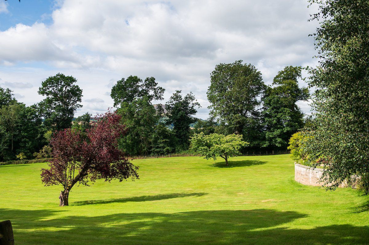 Grounds