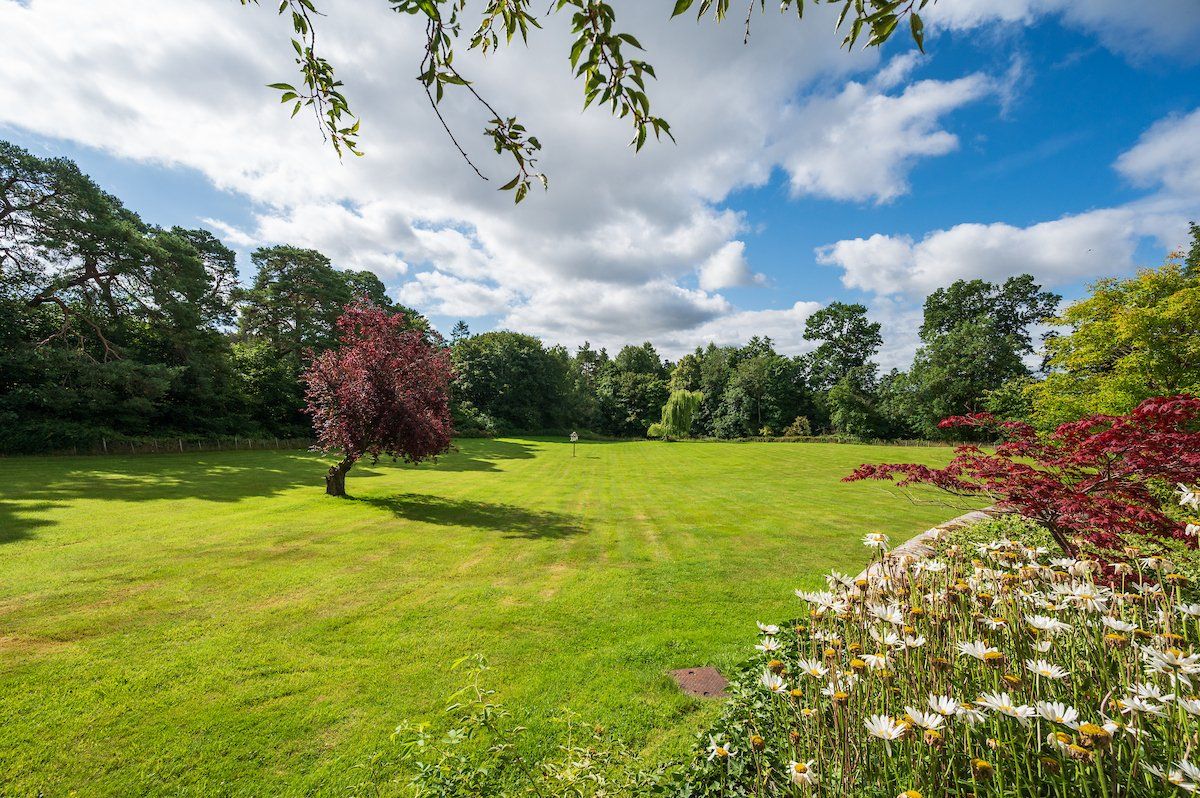 Grounds
