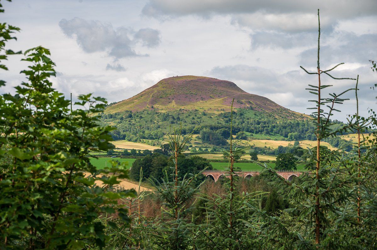 Borders View
