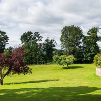 Grounds