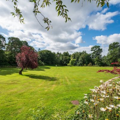Grounds