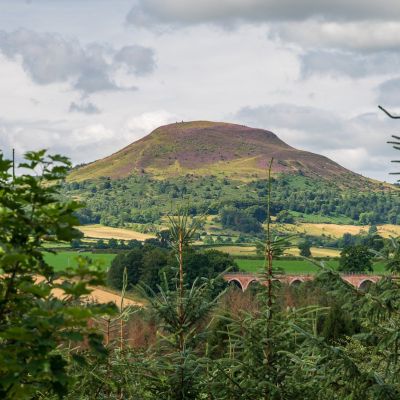 Borders View