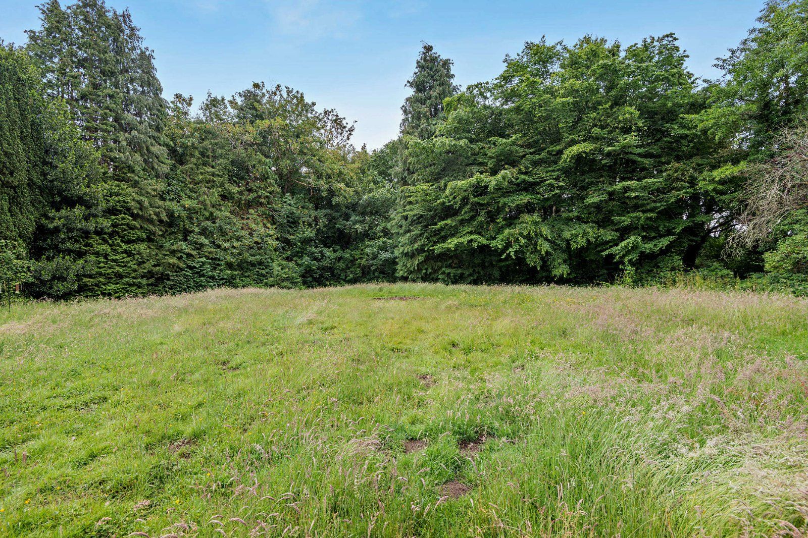Garden/Land