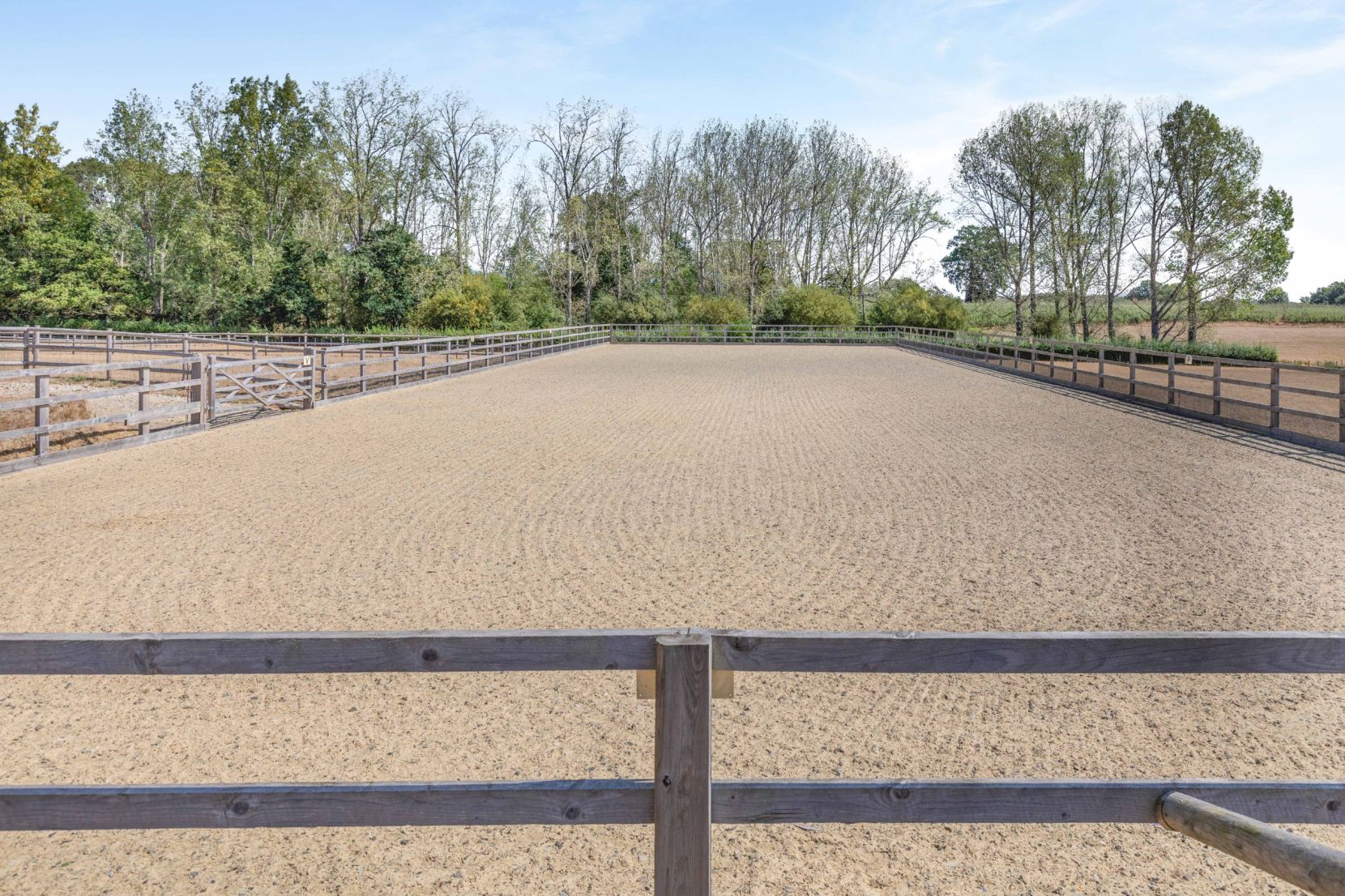 Arena