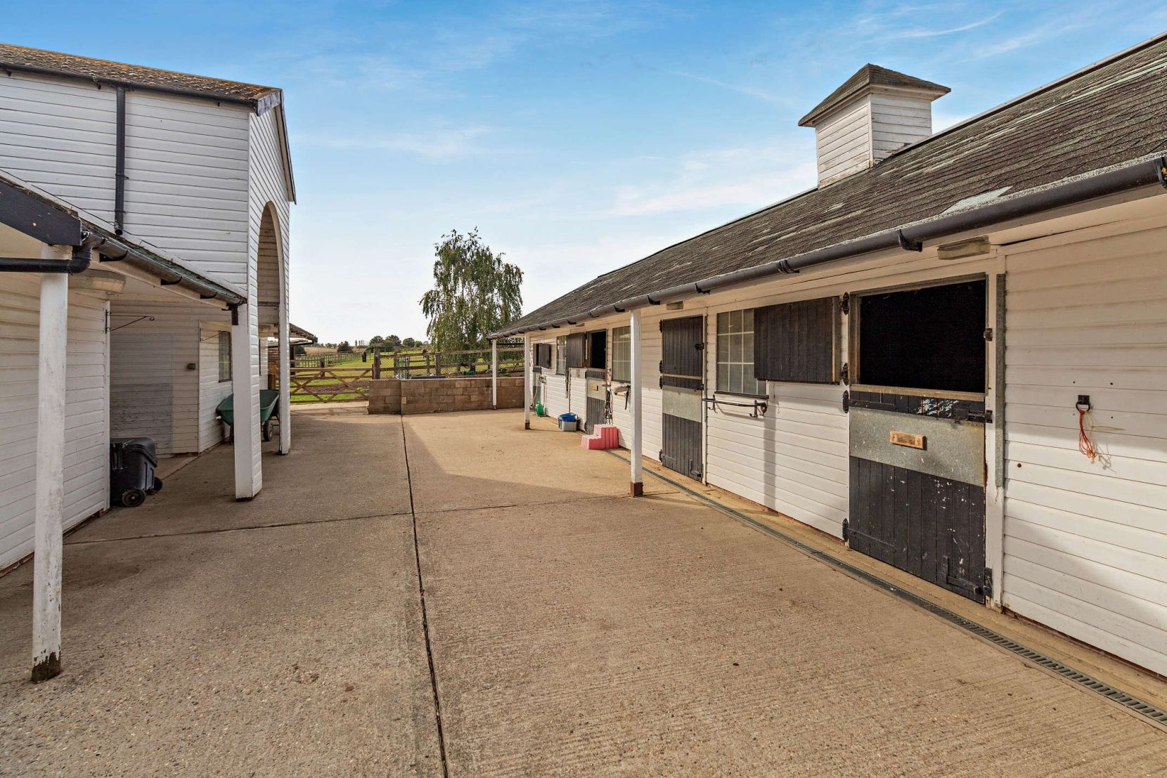 Enclosed Yard
